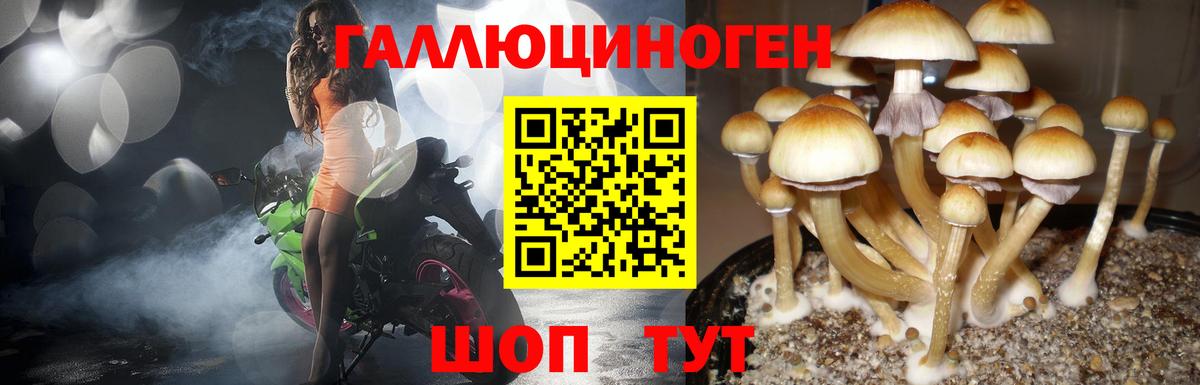 Псилоцибиновые грибы мухоморы Печора